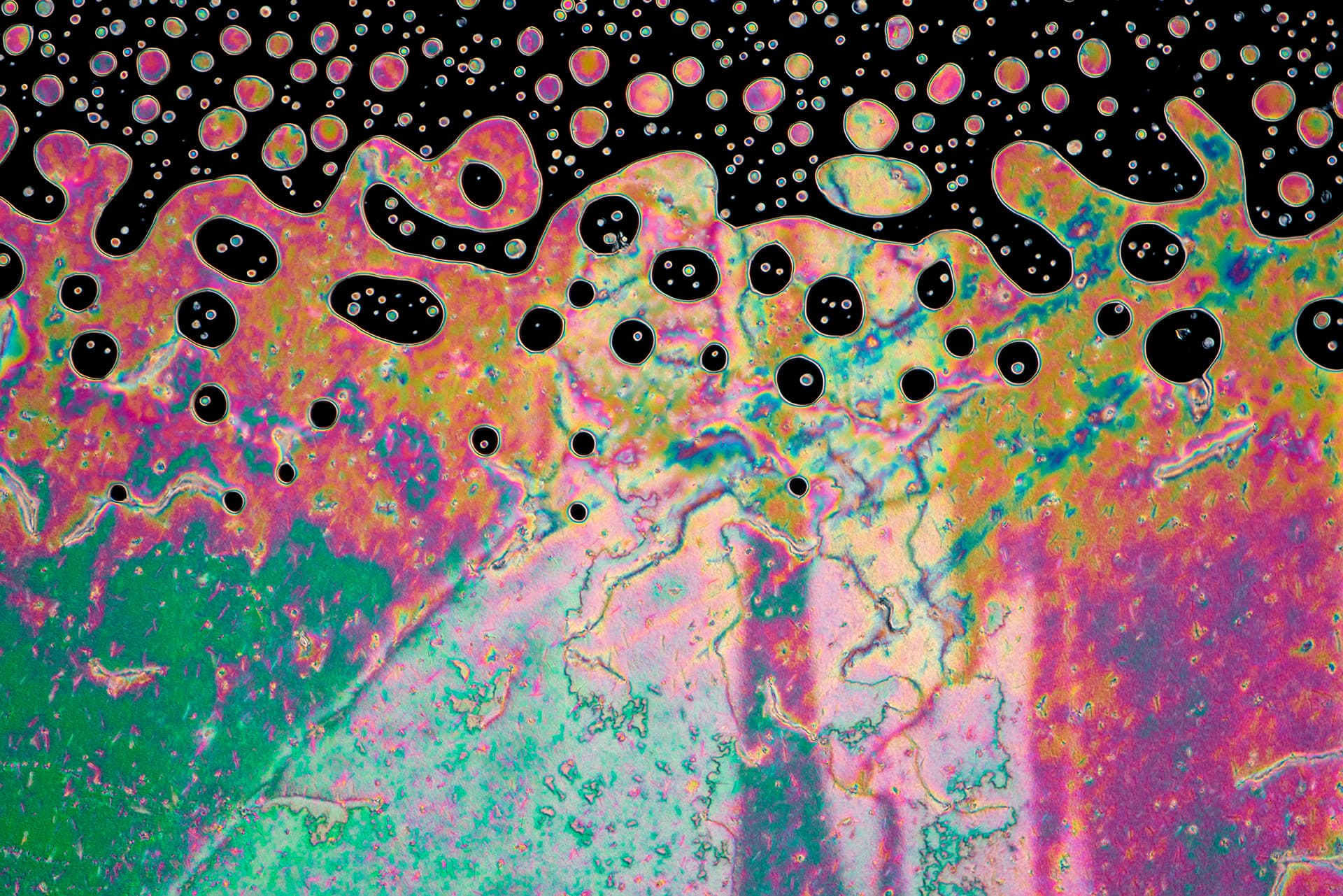 Polarized-light micrograph of a liquid crystal phase transition in pink, green, and gold.